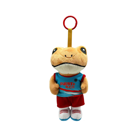 CoNchO   BasQUetBoLisTA